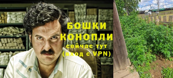 ПСИЛОЦИБИНОВЫЕ ГРИБЫ Верхний Тагил