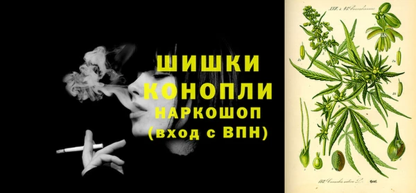 ПСИЛОЦИБИНОВЫЕ ГРИБЫ Верхний Тагил