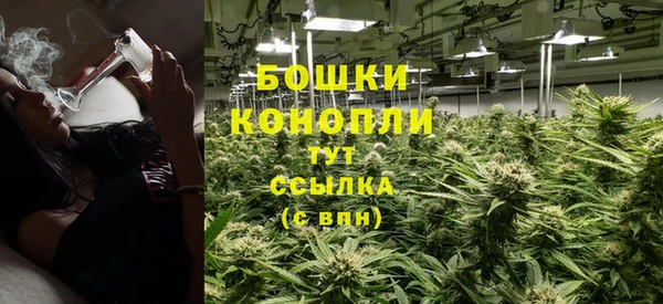 дживик Верея