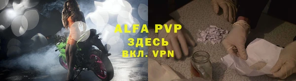 ПСИЛОЦИБИНОВЫЕ ГРИБЫ Верхний Тагил