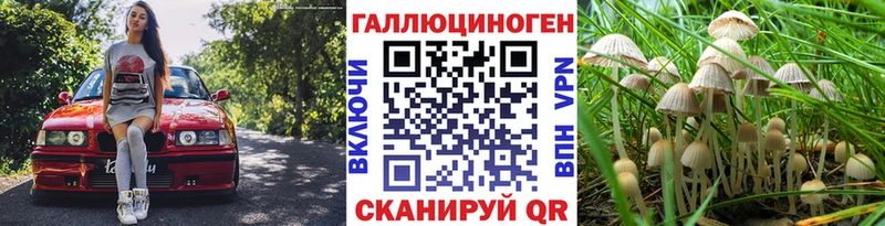 Галлюциногенные грибы мицелий  MEGA онион  Калач-на-Дону 